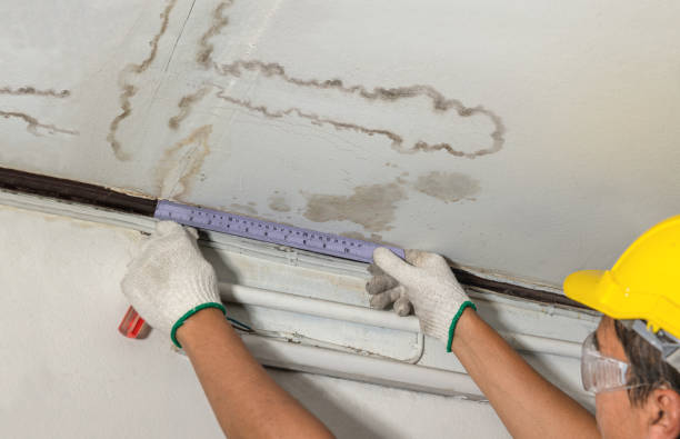Reliable Water Damage contractor in New Ulm, TX by Water Damage Irwin